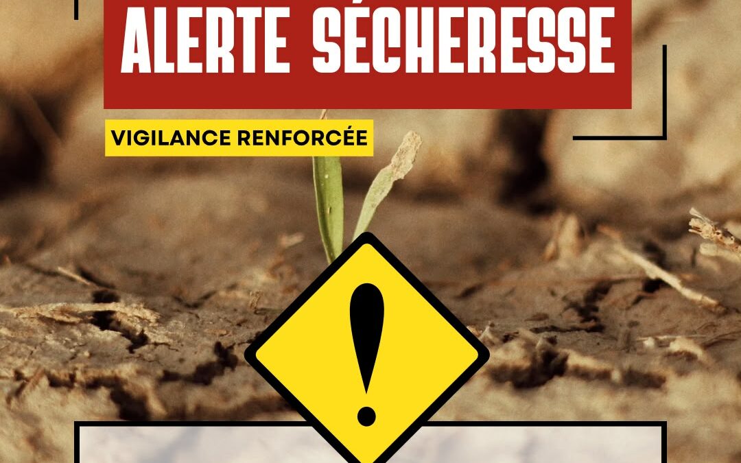 Alerte sécheresse